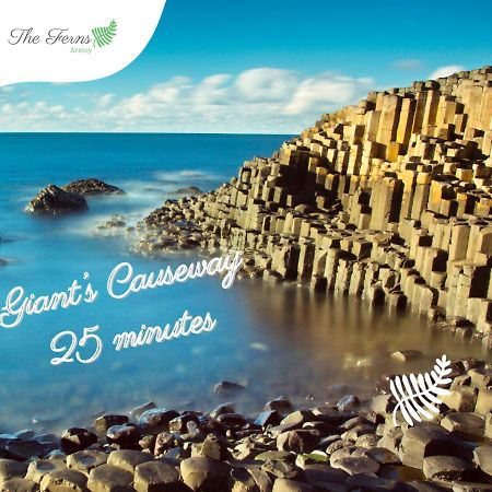 The Ferns-Ideal Base For Exploring The Causeway Coast Armoy Zewnętrze zdjęcie