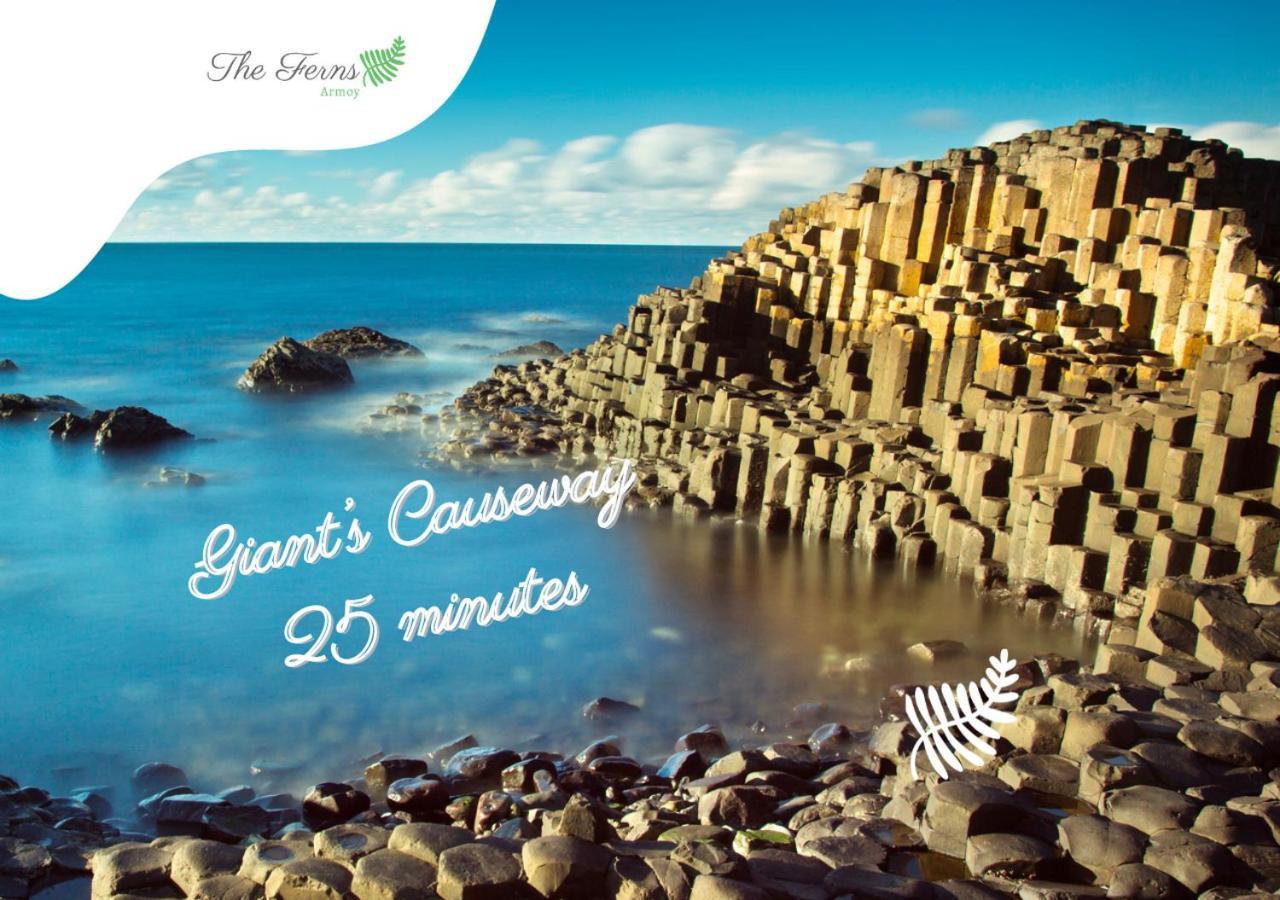 The Ferns-Ideal Base For Exploring The Causeway Coast Armoy Zewnętrze zdjęcie